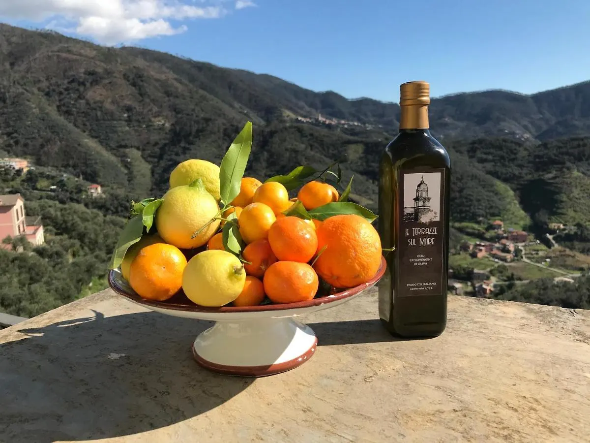 Agriturismo Sancristoforo Levanto Farm stay